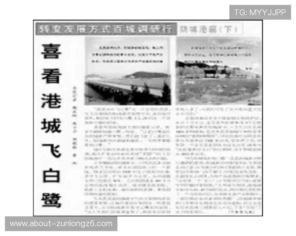 尊龙凯时公司面对行业挑战的应对策略与持续发展路径