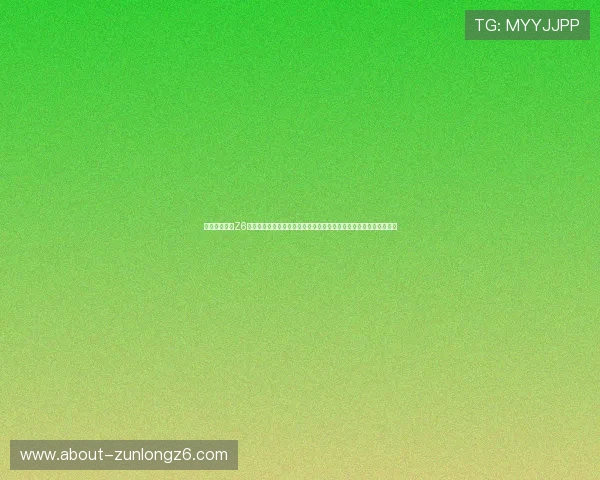 尊龙国际官网Z6登录入口稳定性分析，确保玩家随时随地畅享尊龙国际精彩游戏体验